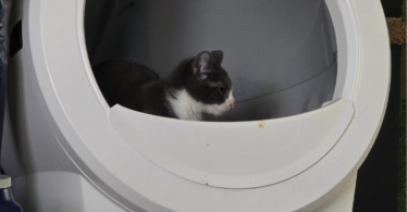 best self-cleaning litter box, whisket litter robot 4 review